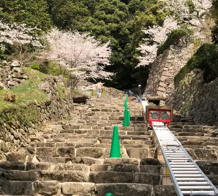 安土城跡の写真・動画_image_507382
