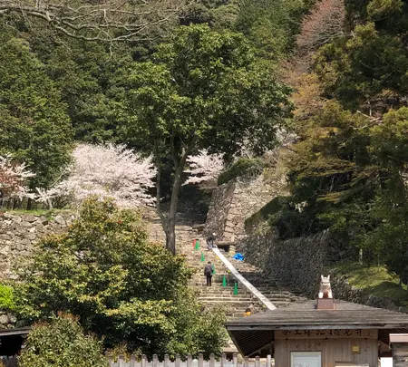 安土城跡の写真・動画_image_507385