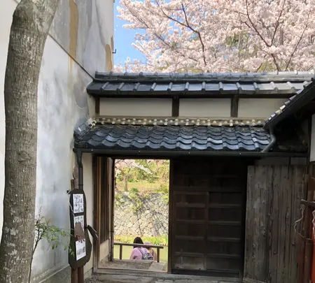 八幡堀の写真・動画_image_507409