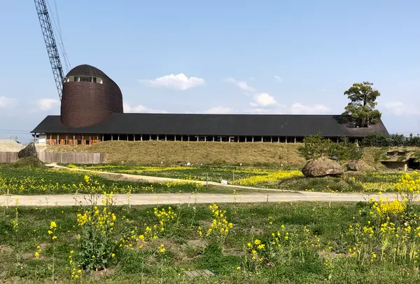 ラコリーナ近江八幡の写真・動画_image_507420