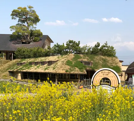 ラコリーナ近江八幡の写真・動画_image_507425