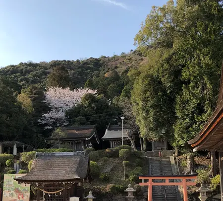 白鬚神社の写真・動画_image_507435