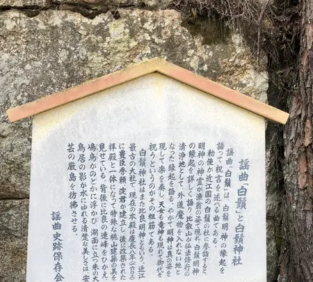 白鬚神社の写真・動画_image_507436