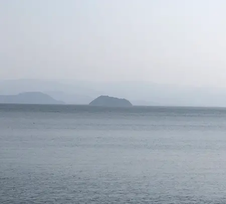 今津港の写真・動画_image_507476