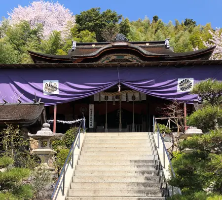 都久夫須麻神社の写真・動画_image_507569