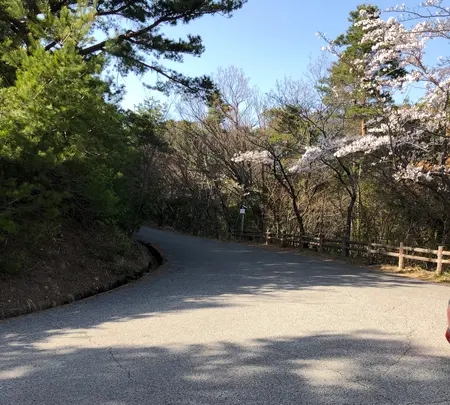 小谷城中腹駐車場の写真・動画_image_507599