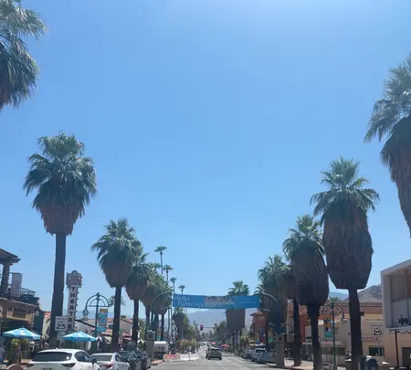 パーム・スプリングスの写真・動画_image_507641