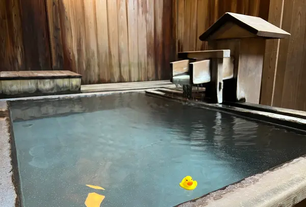 草津温泉 奈良屋の写真・動画_image_507750