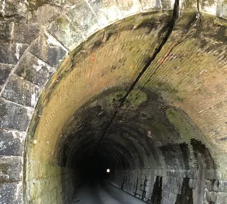 旧北陸本線曽路地谷トンネルの写真・動画_image_507930