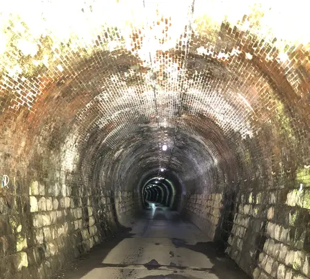 旧北陸線曲谷トンネルの写真・動画_image_507940