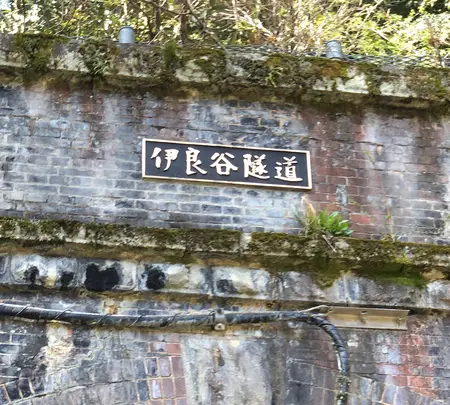 旧北陸本線伊良谷トンネルの写真・動画_image_507951