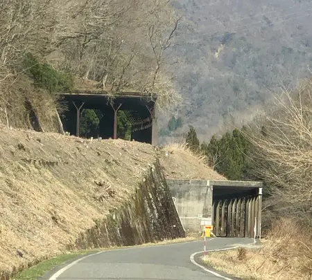 旧北陸線山中ロックシェッドの写真・動画_image_507958