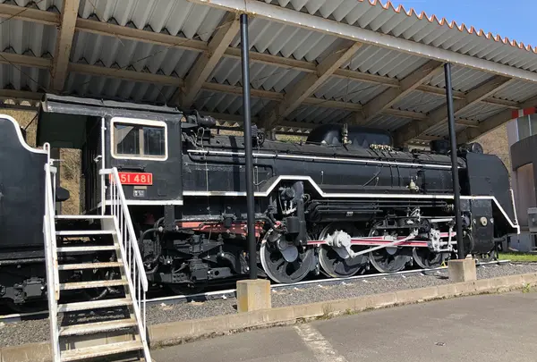 蒸気機関車D51 481号機の写真・動画_image_507982
