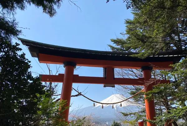新倉山浅間公園の写真・動画_image_508098