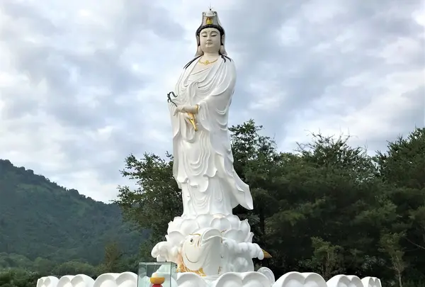 埔里鯉魚潭の写真・動画_image_508407