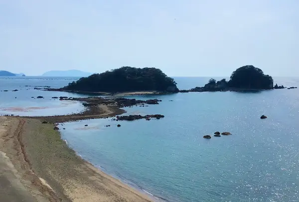 咸陽島公園の写真・動画_image_508519
