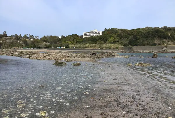 咸陽島公園の写真・動画_image_508520