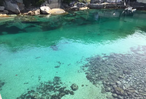 柏島の写真・動画_image_508524