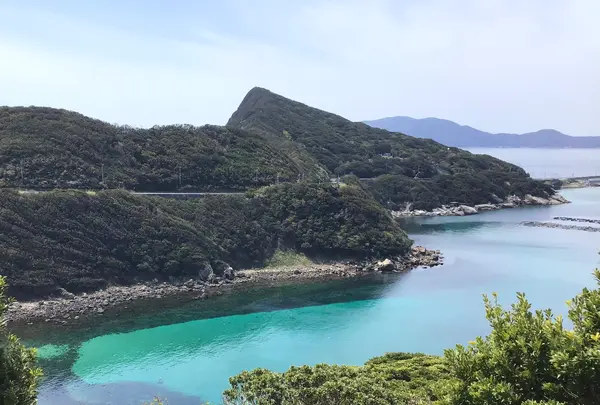 柏島の写真・動画_image_508525