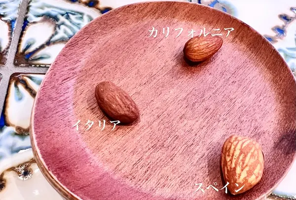 fin.stand（フィンスタンド）の写真・動画_image_508736