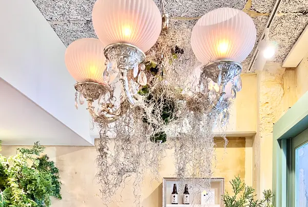 fin.stand（フィンスタンド）の写真・動画_image_508738