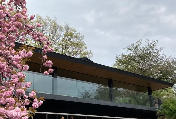 スターバックスコーヒー 新宿御苑店の写真・動画_image_509407