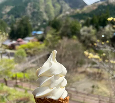 道の駅たばやまの写真・動画_image_509694