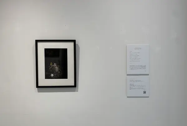 GREAT BOOKS（グレート ブックス）の写真・動画_image_509737