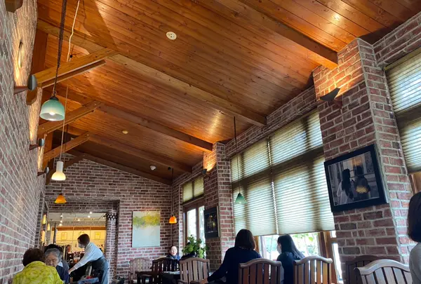 櫻茶屋の写真・動画_image_509989