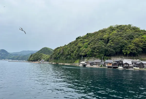 伊根湾めぐり遊覧船の写真・動画_image_510642