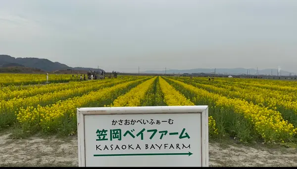 笠岡ベイファームの写真・動画_image_510675