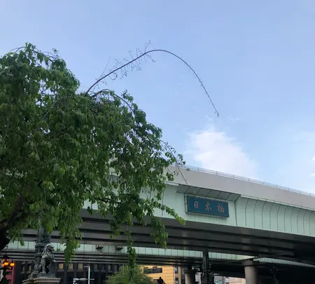 日本橋の写真・動画_image_510871