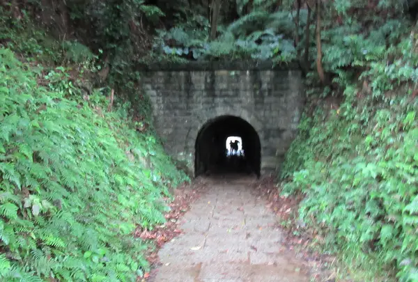 六坑景観台 微笑曲線の写真・動画_image_511050