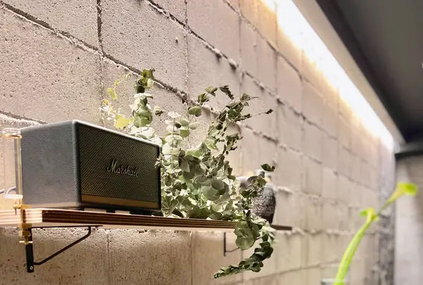 Bar ifの写真・動画_image_511106