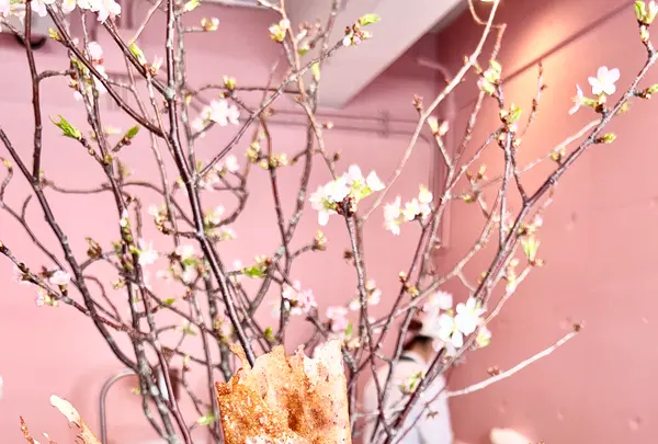 Plis （プリー） の写真・動画_image_511114