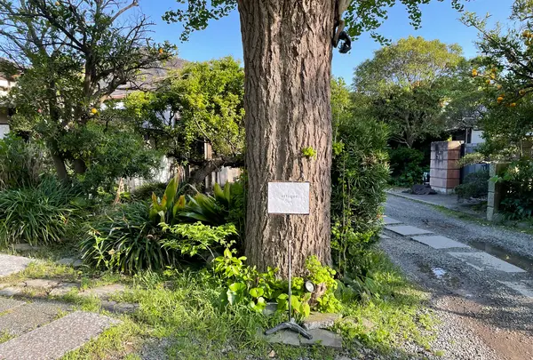artique kamakura | アーティーク 鎌倉 フランス アンティークの写真・動画_image_511428