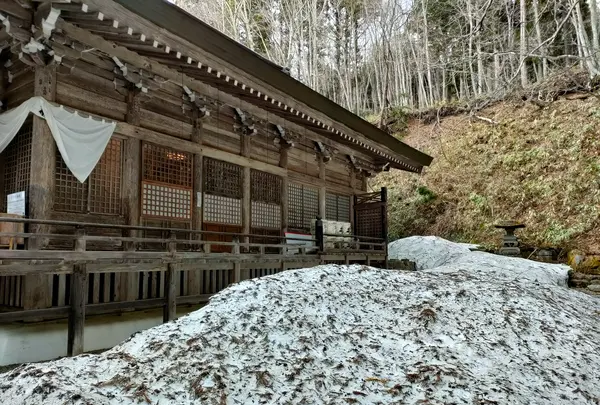 戸隠神社中社の写真・動画_image_511924