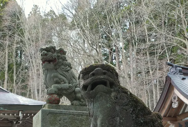 戸隠神社中社の写真・動画_image_511925