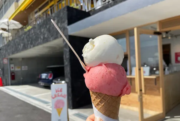 HOLIDAY ICE CREAM STORE (ホリデーアイスクリームストア)の写真・動画_image_511990