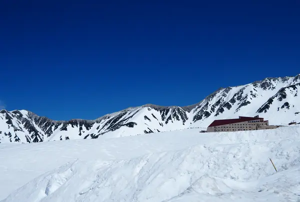 雪の大谷の写真・動画_image_512180