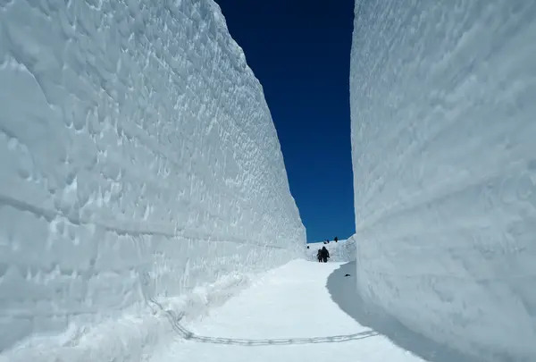 雪の大谷の写真・動画_image_512183