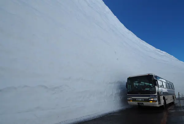 雪の大谷の写真・動画_image_512184
