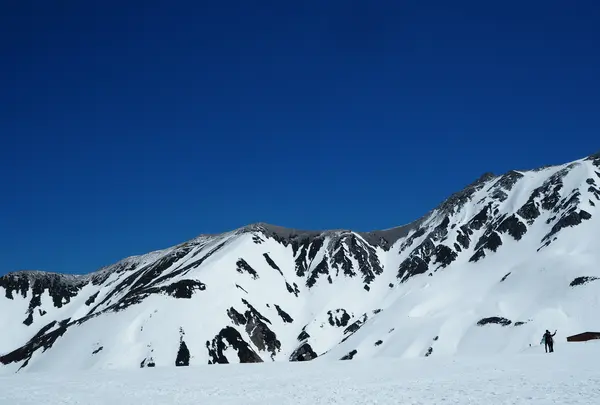 雪の大谷の写真・動画_image_512186