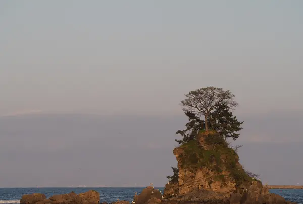 国定公園 雨晴海岸の写真・動画_image_512188