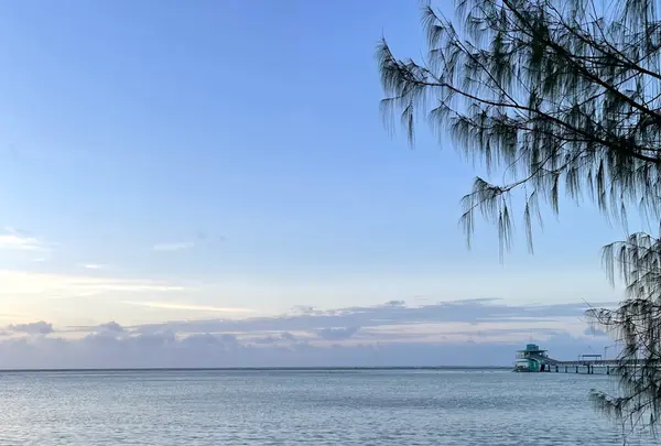 Fish Eye Marine Park（フィッシュアイマリーンパーク）の写真・動画_image_512384
