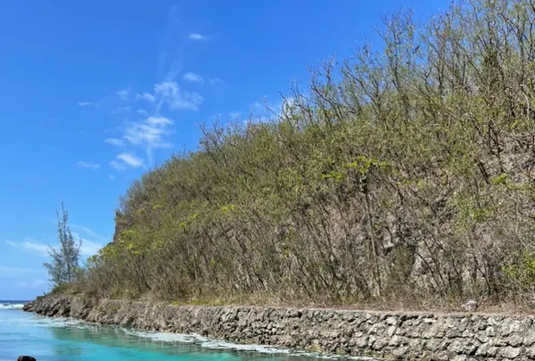 United Seamen's Service Beachの写真・動画_image_512387