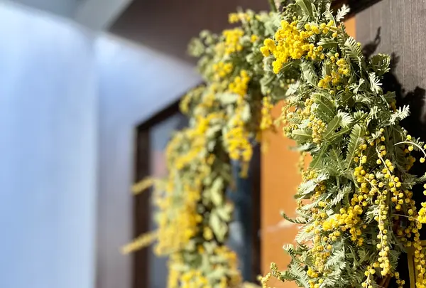 SHIBA CAFEの写真・動画_image_512624