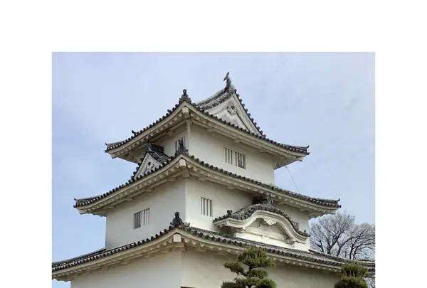 丸亀城の写真・動画_image_513149