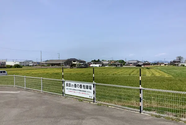 釜揚げうどん 長田 in 香の香の写真・動画_image_513152