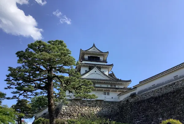 高知城の写真・動画_image_513163